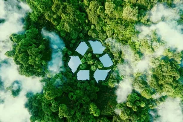 Aerial view of woodland with a pond shaped like a recycling symbol